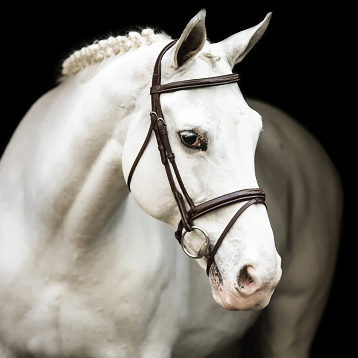 Hoofdstel LJ Leathers New Pro RVS Gespen Bruin - Afbeelding 2