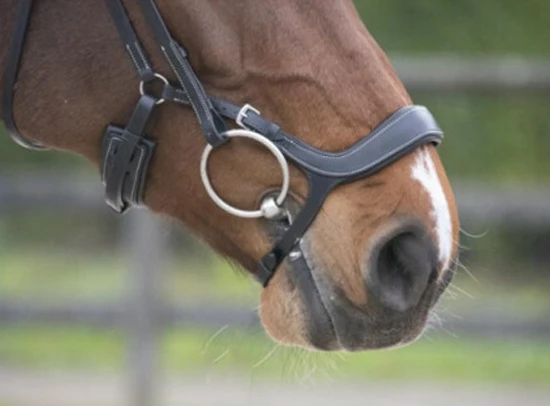 Hoofdstel LJ Leathers Pro Selected Legacy Polidor Zwart - Afbeelding 2