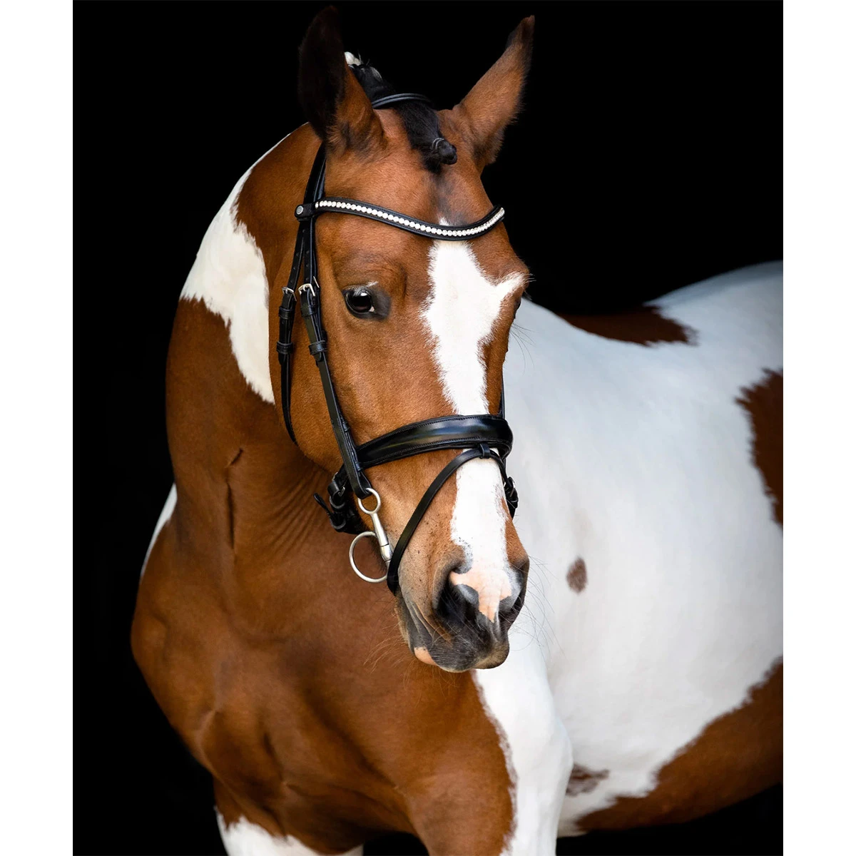 Hoofdstel Montar Fair Zwart - Afbeelding 2