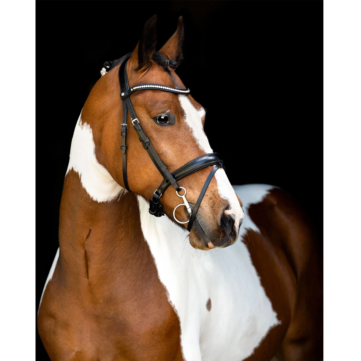 Hoofdstel Montar Fair Zwart - Afbeelding 3