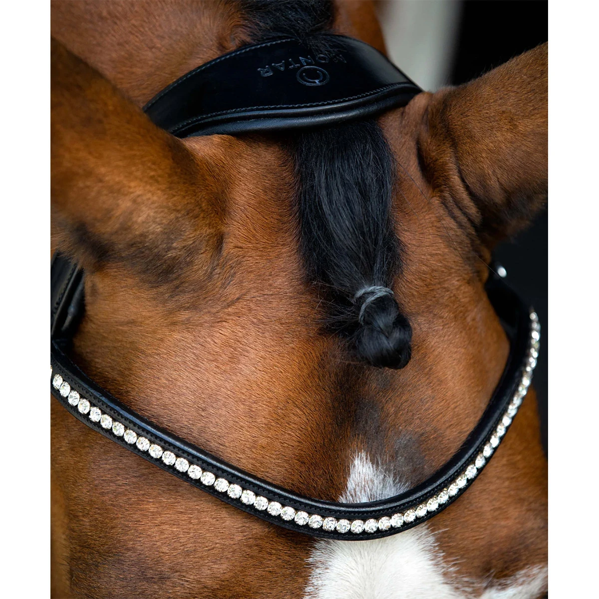 Hoofdstel Montar Fair Zwart - Afbeelding 4