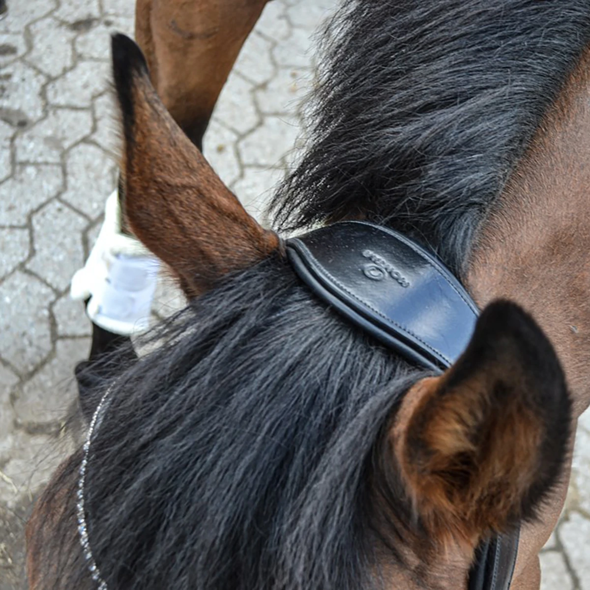 Hoofdstel Montar Fair Zwart - Afbeelding 7