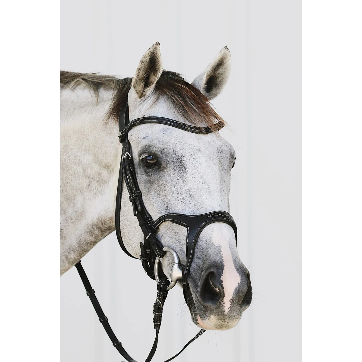 Hoofdstel Montar Monarch Bruin - Afbeelding 3