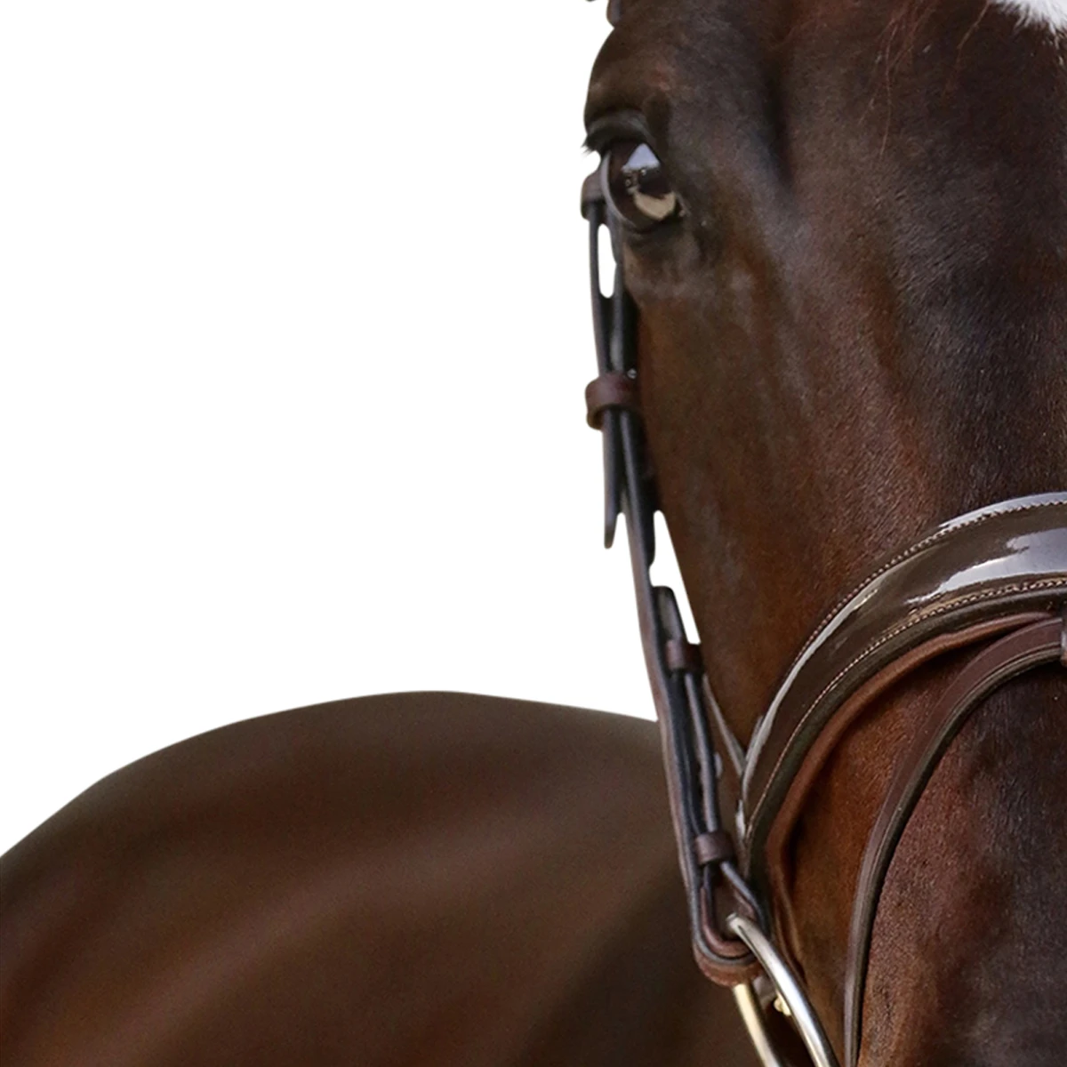 Hoofdstel Montar Normandie Deluxe Bruin - Afbeelding 4