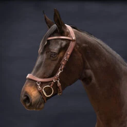 Hoofdstel PresTeq Fay Sport Bruin