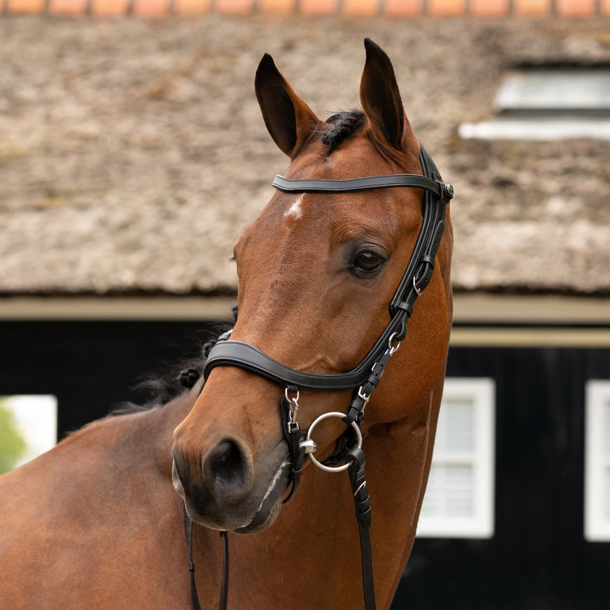 Hoofdstel PresTeq Fay Sport Zwart - Afbeelding 2