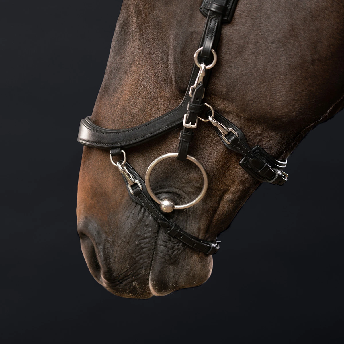 Hoofdstel PresTeq Fay Sport Zwart - Afbeelding 4