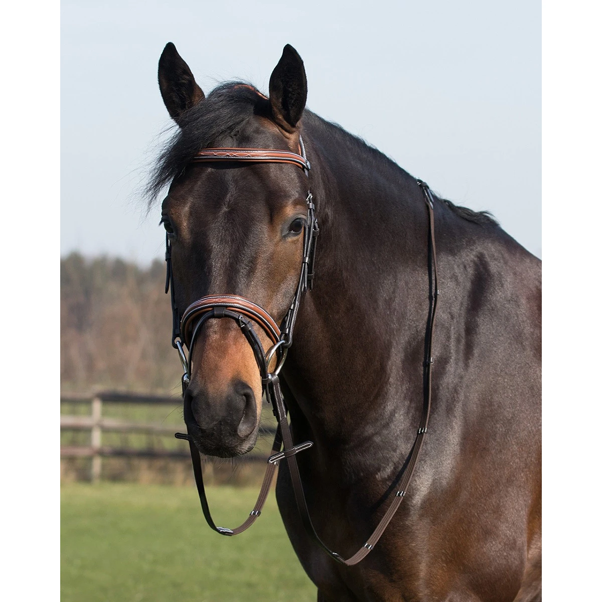 Hoofdstel QHP Freya Bruin - Afbeelding 2