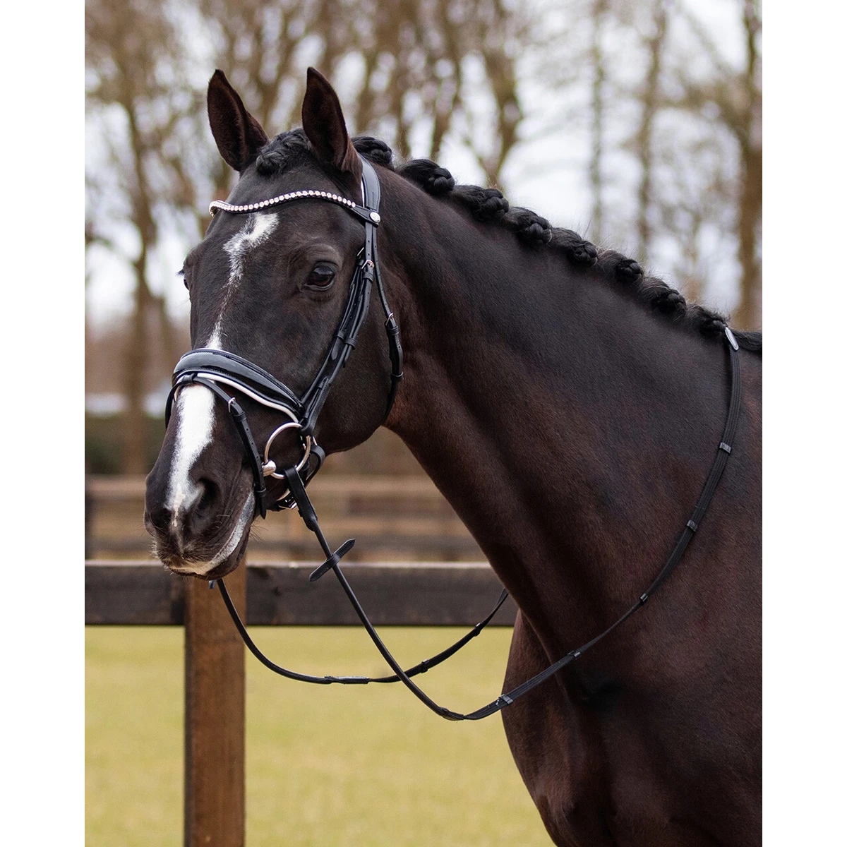 Hoofdstel QHP Nehza Zwart-wit - Afbeelding 2