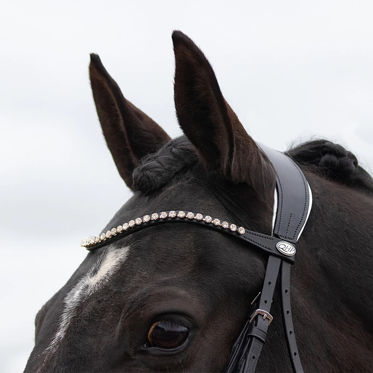 Hoofdstel QHP Nehza Zwart-wit - Afbeelding 7