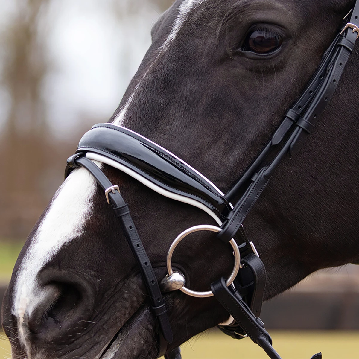 Hoofdstel QHP Nehza Zwart-wit - Afbeelding 8