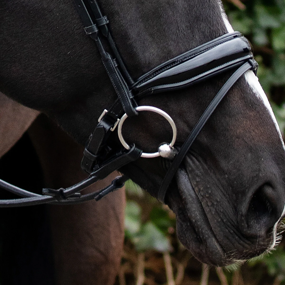 Hoofdstel QHP Nehza Zwart - Afbeelding 8