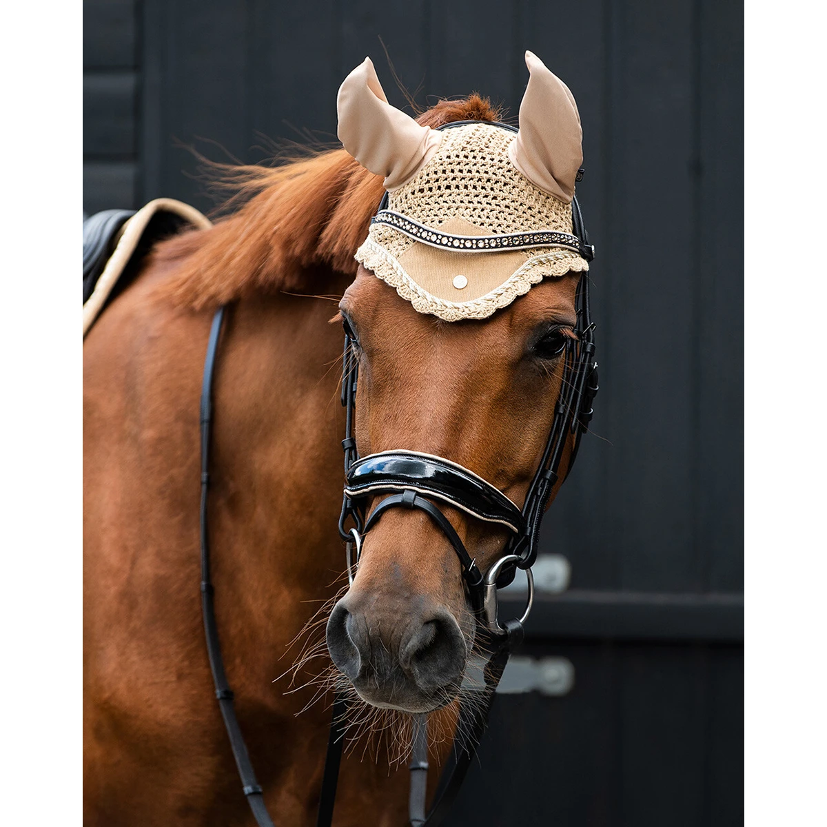 Hoofdstel QHP Orlando Black-brown - Afbeelding 2