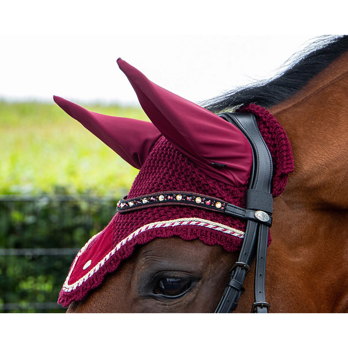 Hoofdstel QHP Orlando Zwart-rood - Afbeelding 3