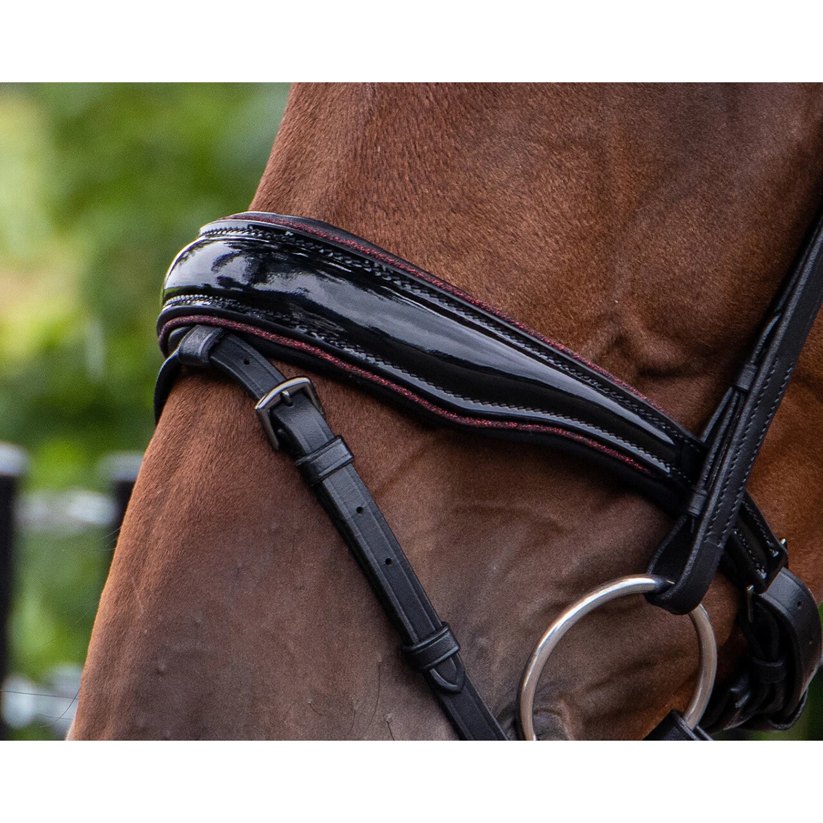 Hoofdstel QHP Orlando Zwart-rood - Afbeelding 4