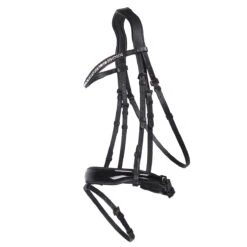 Hoofdstel QHP Orlando Zwart