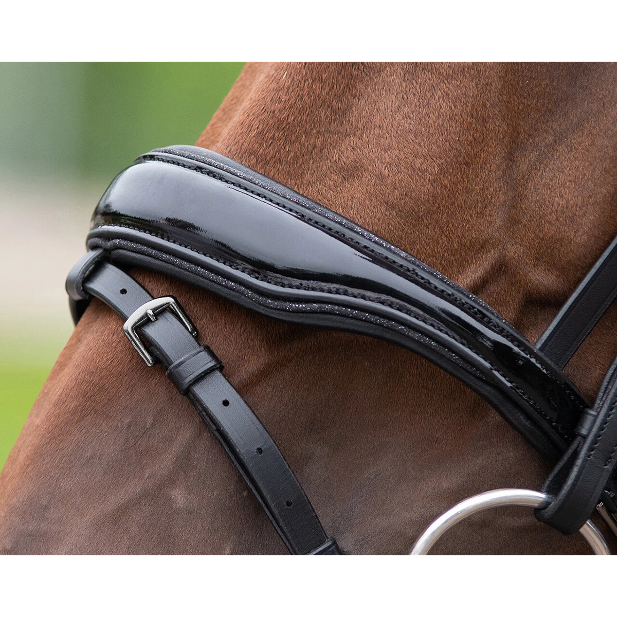 Hoofdstel QHP Orlando Zwart - Afbeelding 4