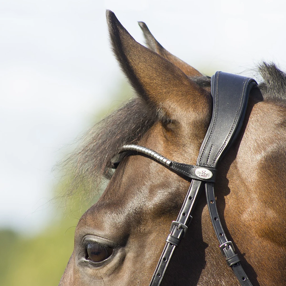 Hoofdstel QHP Sedna Zwart - Afbeelding 4