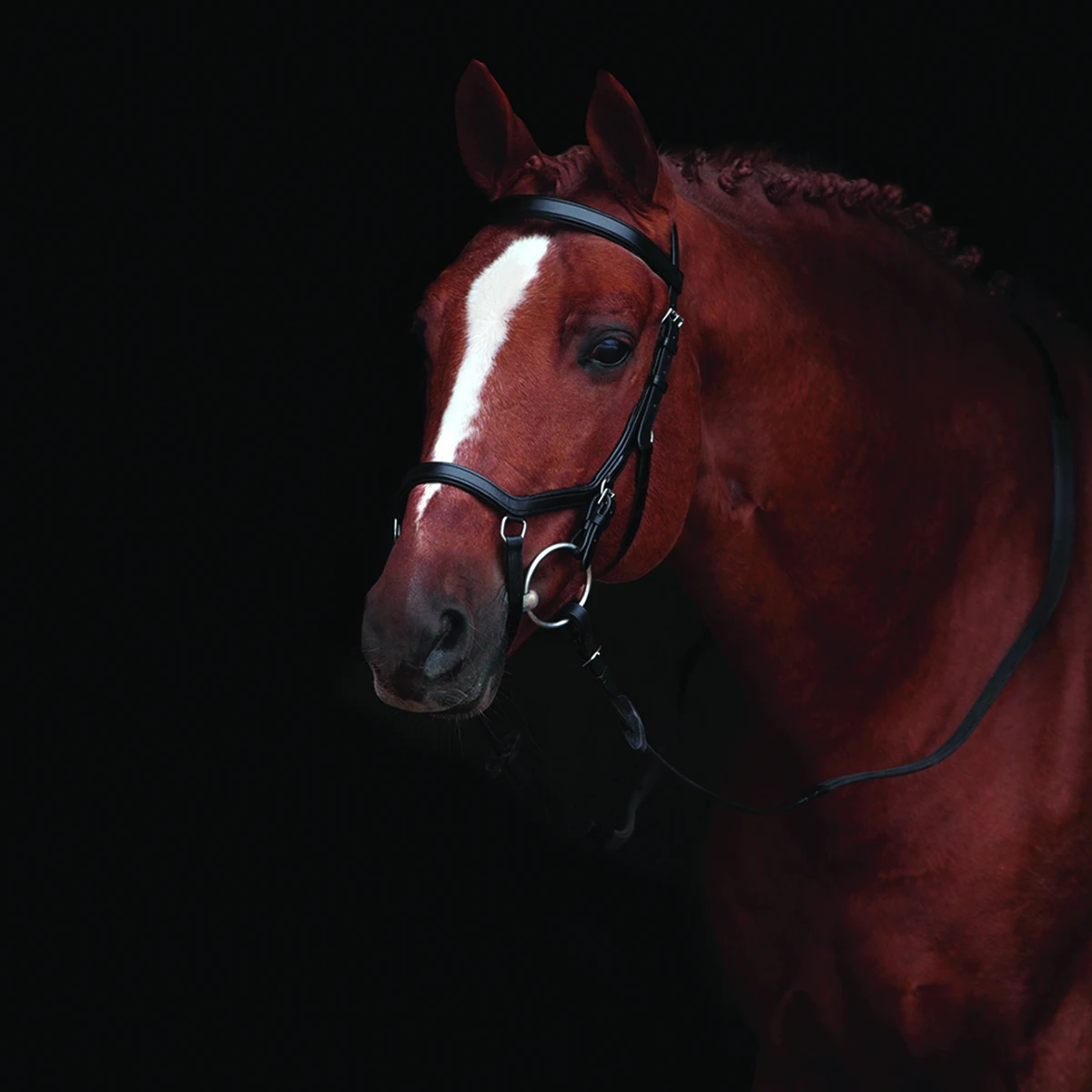 Hoofdstel Rambo Micklem Competition Bridle Zwart - Afbeelding 2