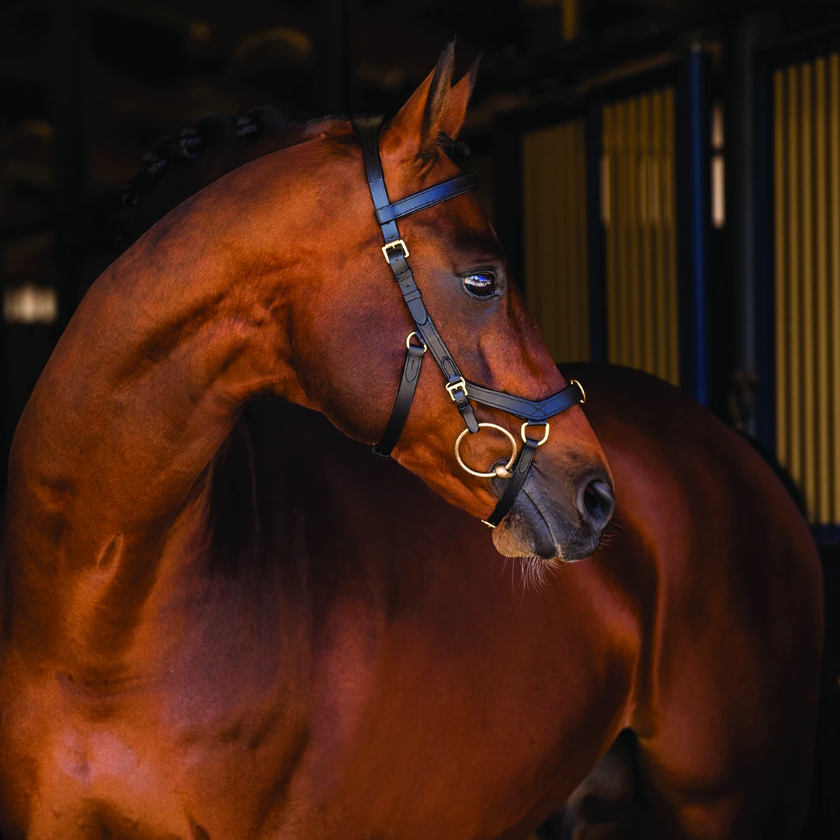 Hoofdstel Rambo Micklem Multi Bridle Zwart - Afbeelding 4