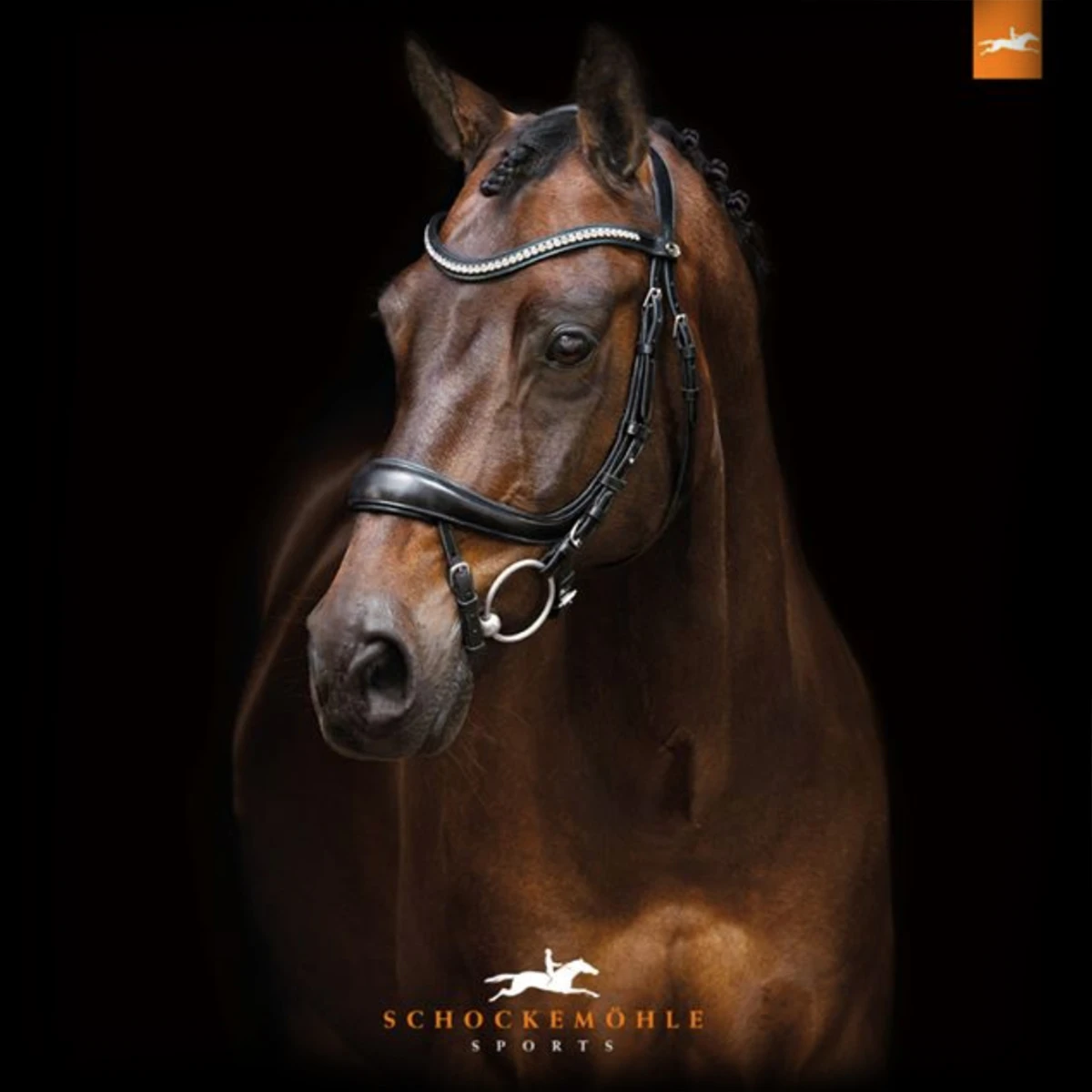 Hoofdstel Schockemöhle Equitus Beta Zwart-zilver - Afbeelding 4
