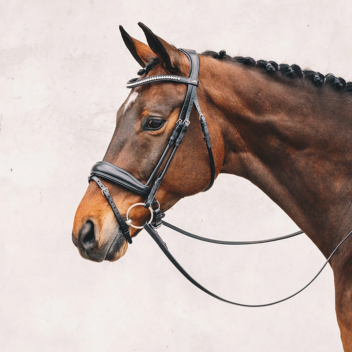 Hoofdstel Schockemöhle Malibu Zwart-zilver - Afbeelding 3