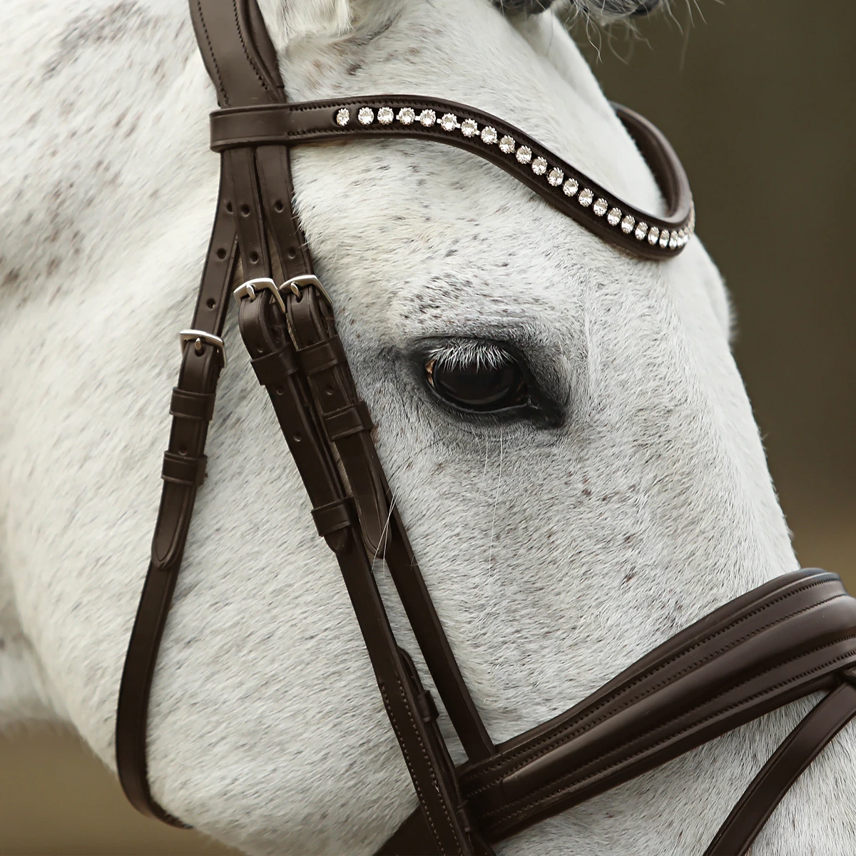 Hoofdstel SKØL Dyrt Donkerbruin - Afbeelding 4