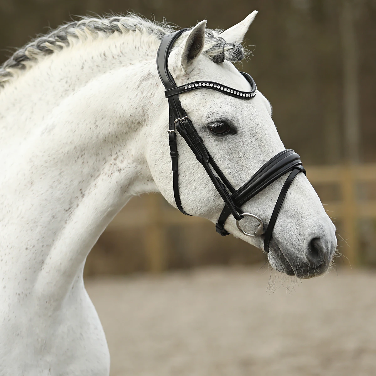 Hoofdstel SKØL Dyrt Zwart - Afbeelding 3