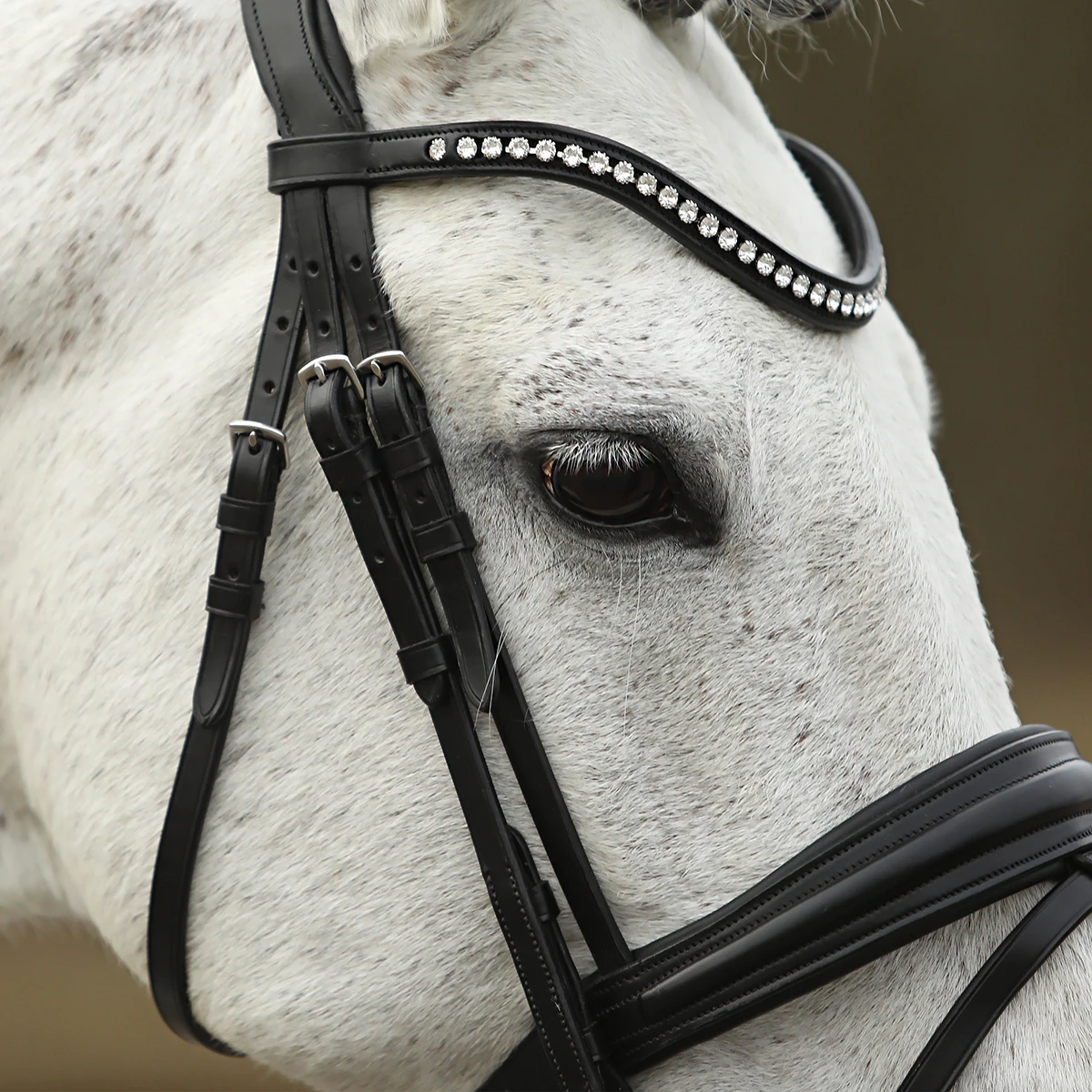 Hoofdstel SKØL Dyrt Zwart - Afbeelding 4