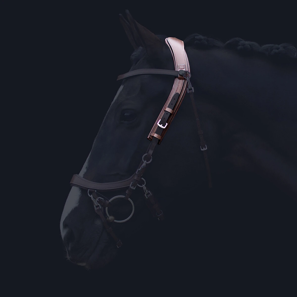 Kopstuk PresTeq FaySport Bruin - Afbeelding 6