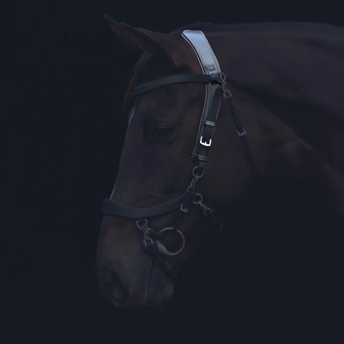 Kopstuk PresTeq FaySport Zwart - Afbeelding 5