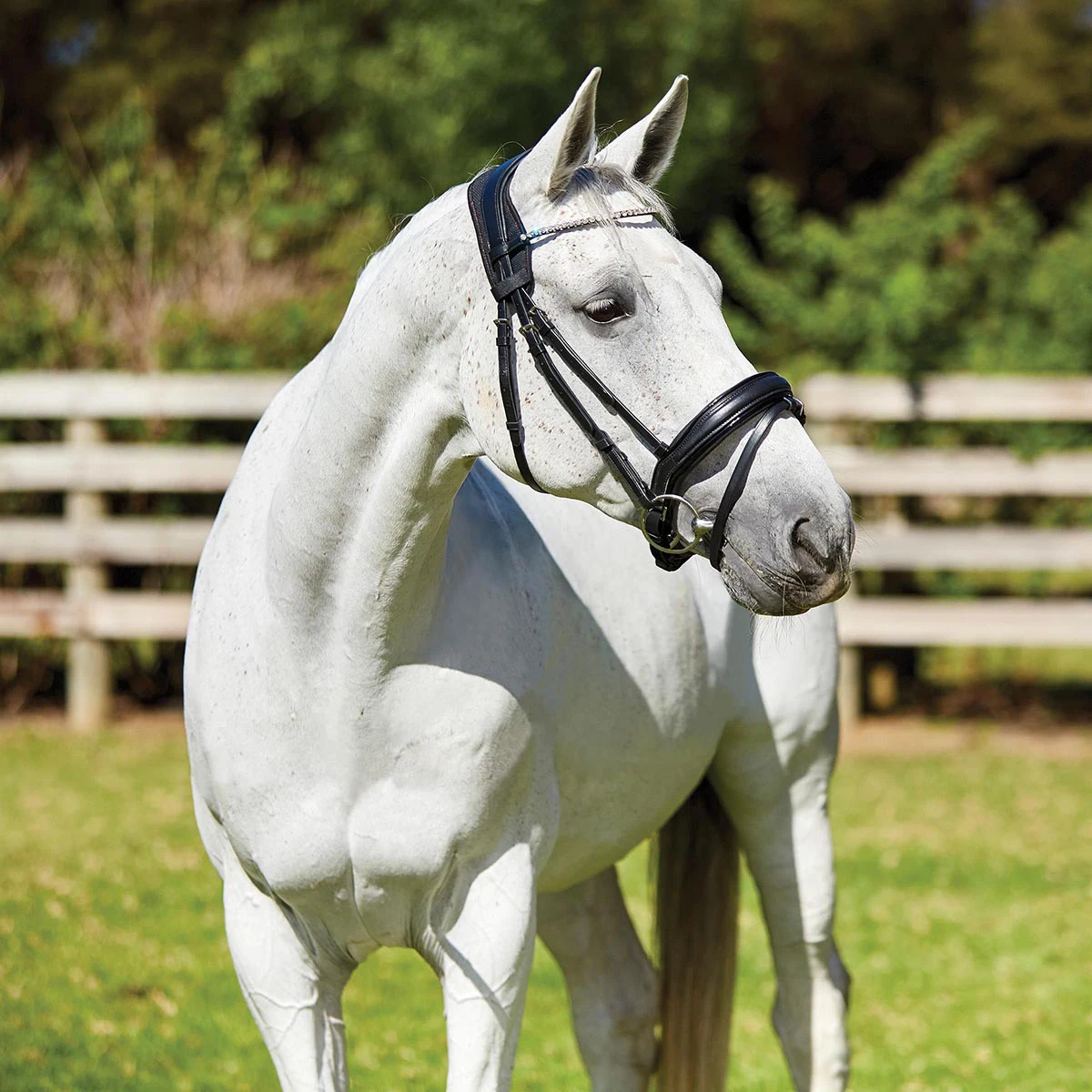 Kopstuk WeatherBeeta Therapy-Tec Anatomical Zwart-rood - Afbeelding 2