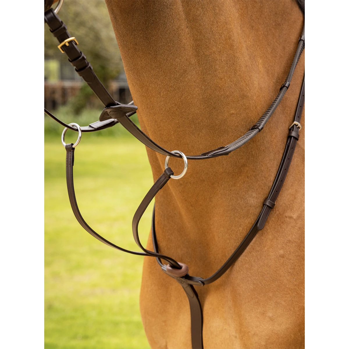 Martingaal LeMieux Arika Running Bruin - Afbeelding 2