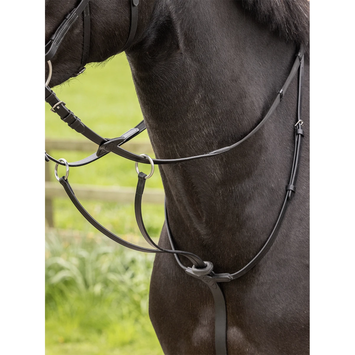 Martingaal LeMieux Arika Running Zwart - Afbeelding 2
