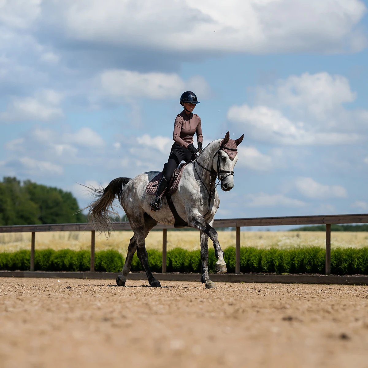 Oornetje Equestrian Stockholm Amaranth Bruin - Afbeelding 6