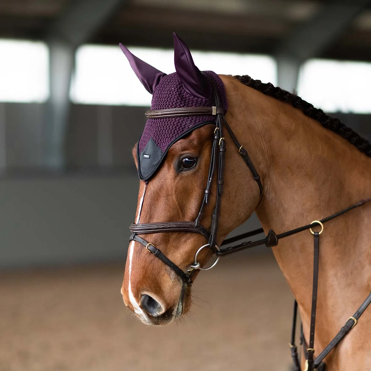 Oornetje Equestrian Stockholm Black Raven Paars - Afbeelding 2