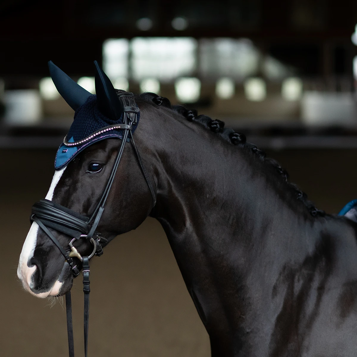 Oornetje Equestrian Stockholm Blue Meadow Blauw - Afbeelding 3