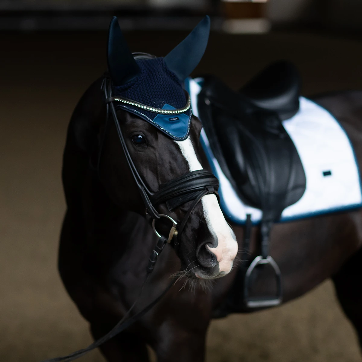 Oornetje Equestrian Stockholm Blue Meadow Glimmer Blauw - Afbeelding 3