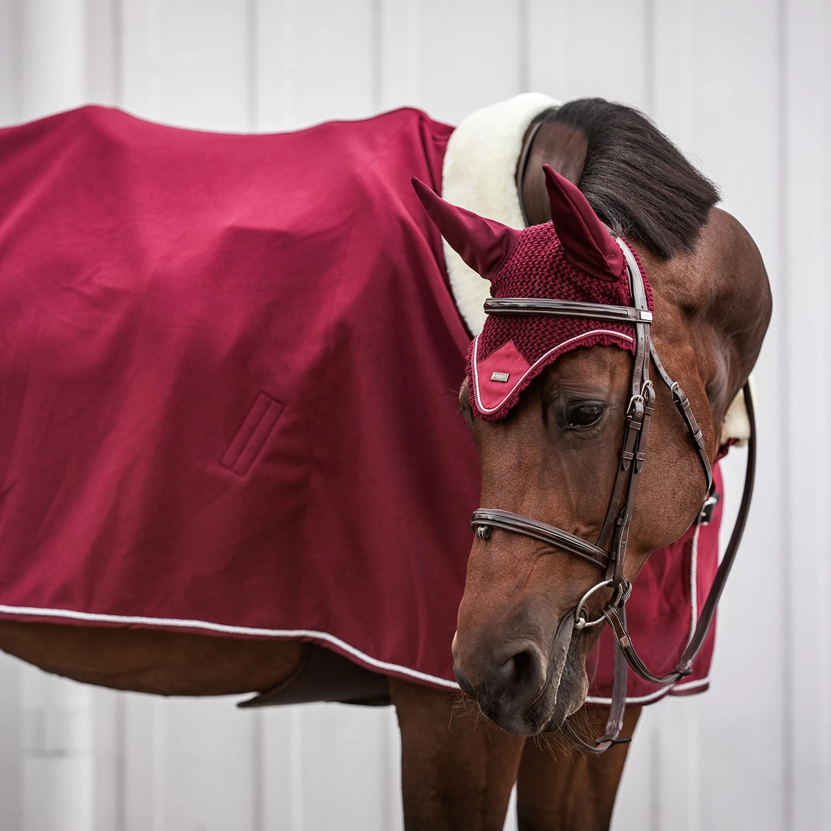 Oornetje Equestrian Stockholm Bordeaux Donkerrood - Afbeelding 3