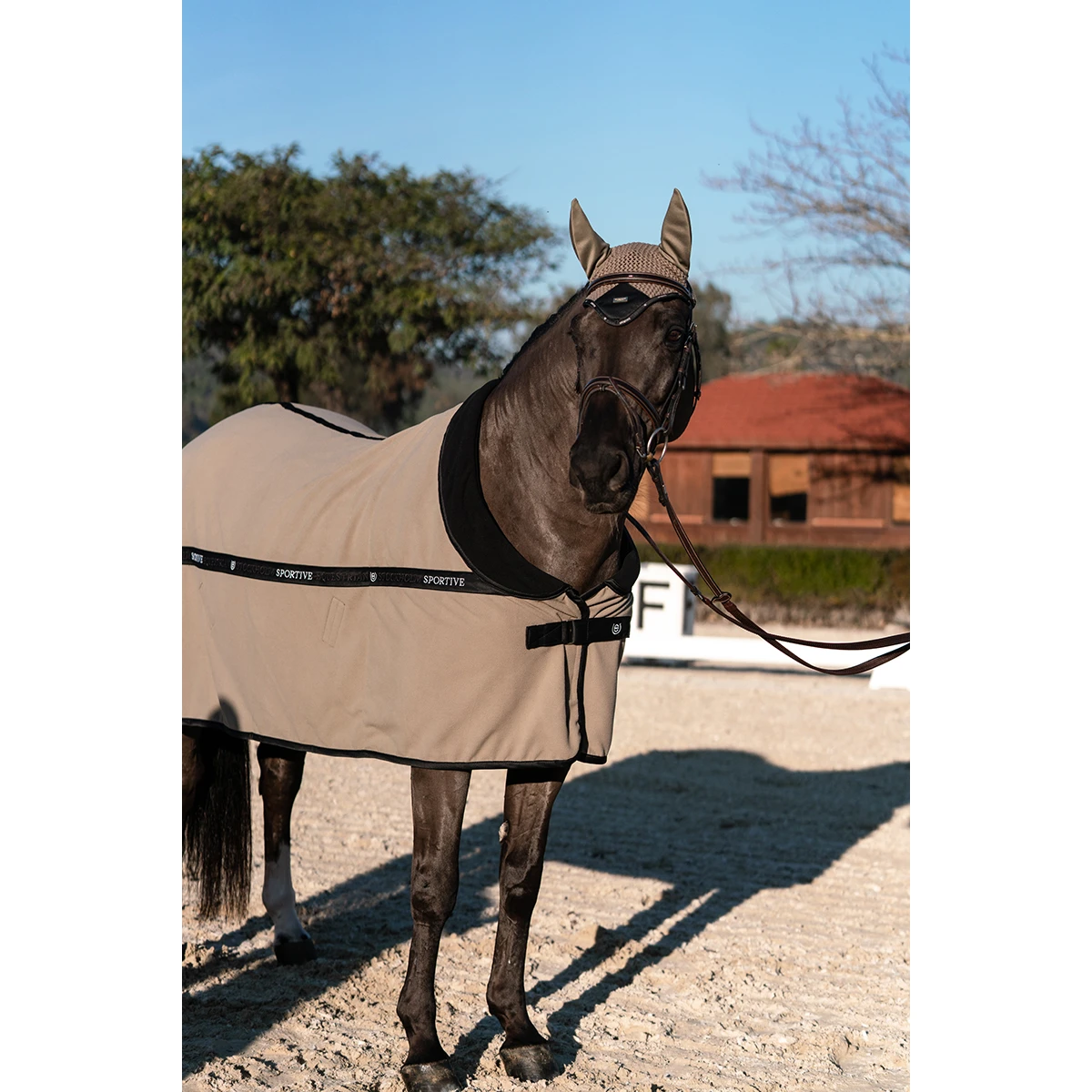 Oornetje Equestrian Stockholm Chantelle Lichtbruin - Afbeelding 4