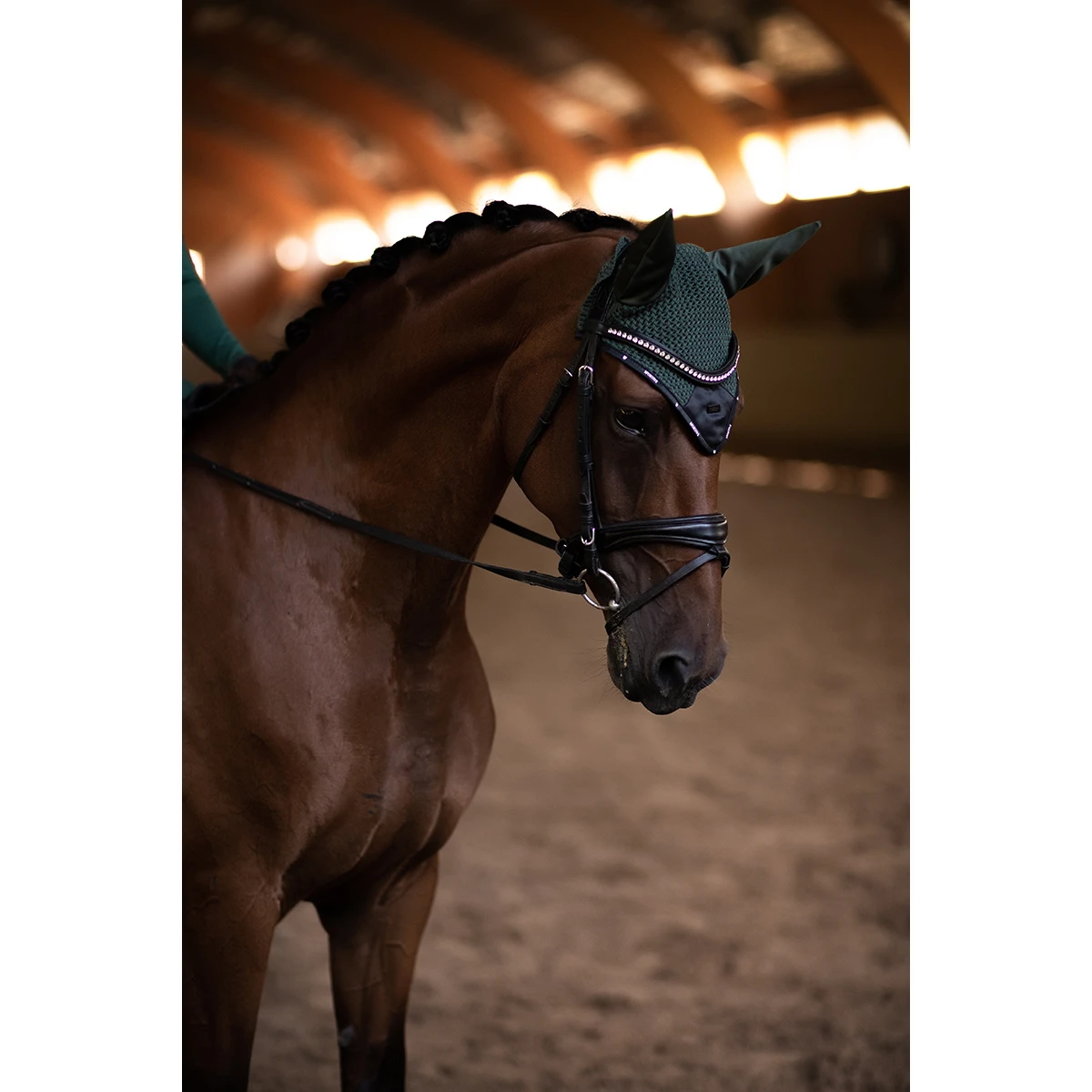 Oornetje Equestrian Stockholm Sportive Sycamore Green Groen - Afbeelding 5
