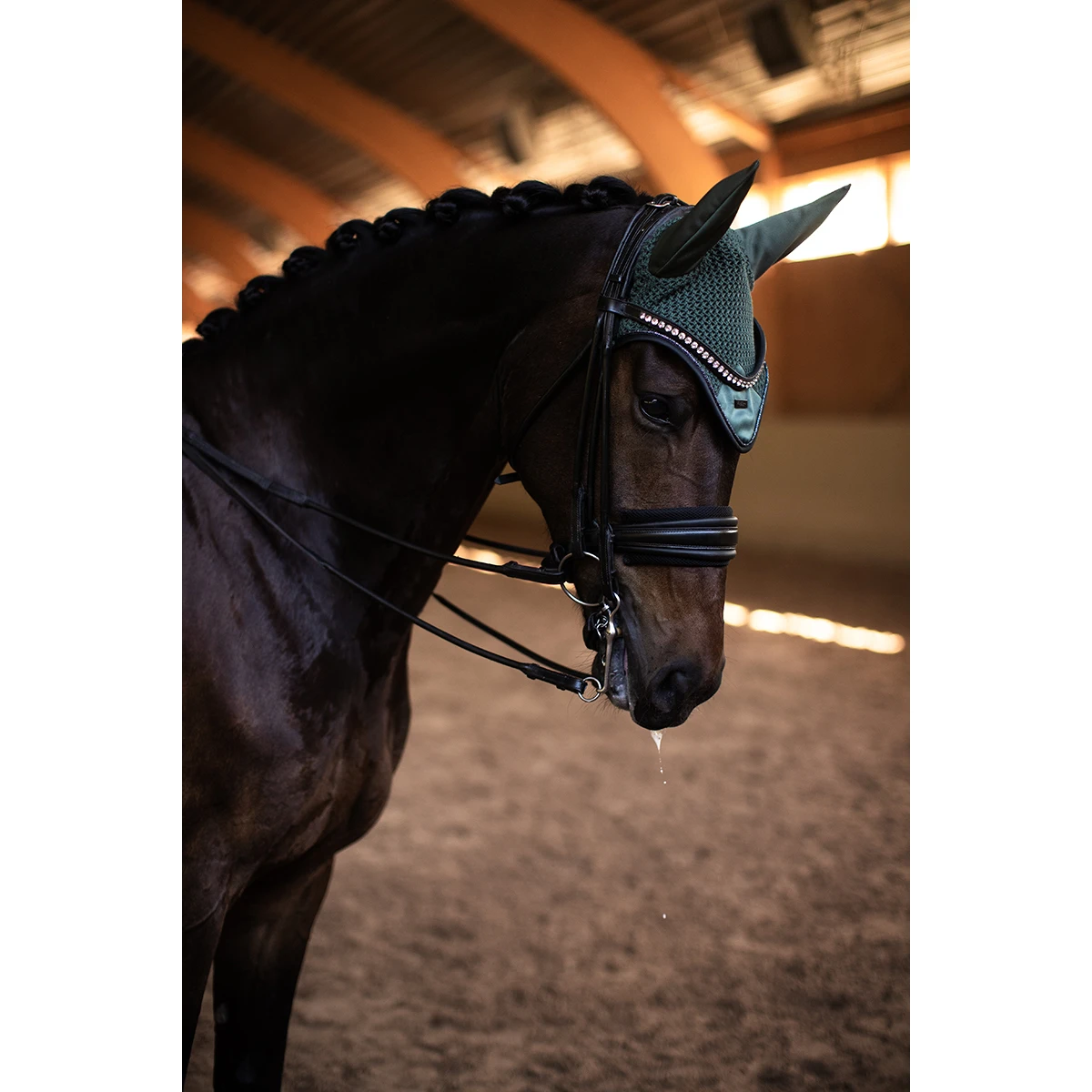 Oornetje Equestrian Stockholm Sycamore Green Groen - Afbeelding 3