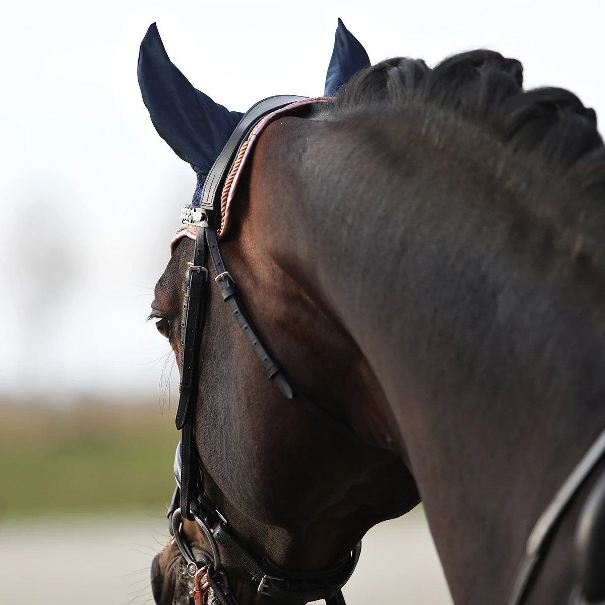 Oornetje Horsegear Aurum Donkerblauw - Afbeelding 3