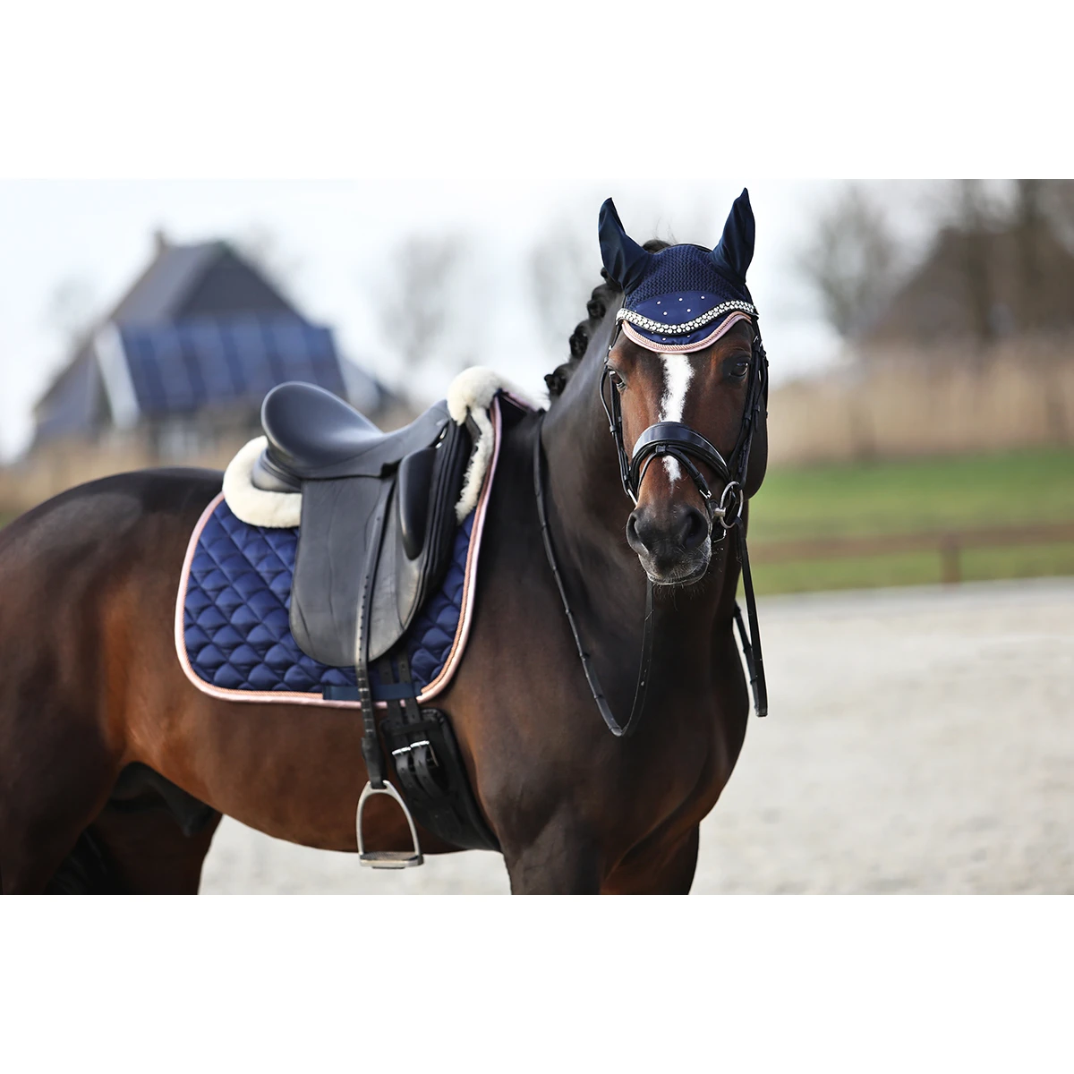 Oornetje Horsegear Aurum Donkerblauw - Afbeelding 4