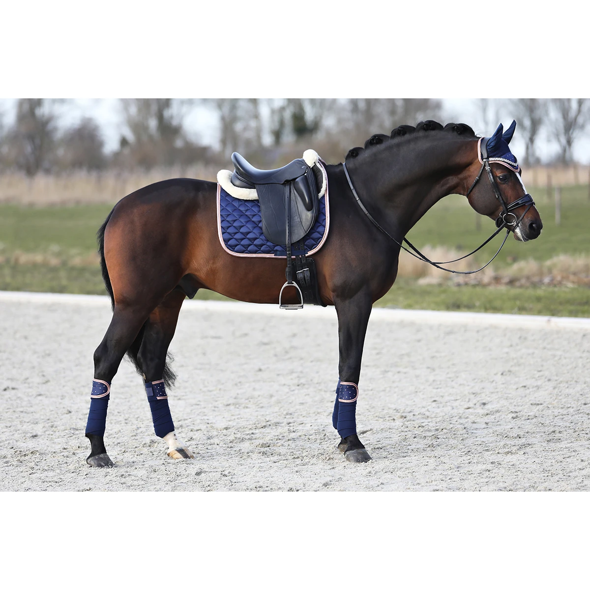 Oornetje Horsegear Aurum Donkerblauw - Afbeelding 5