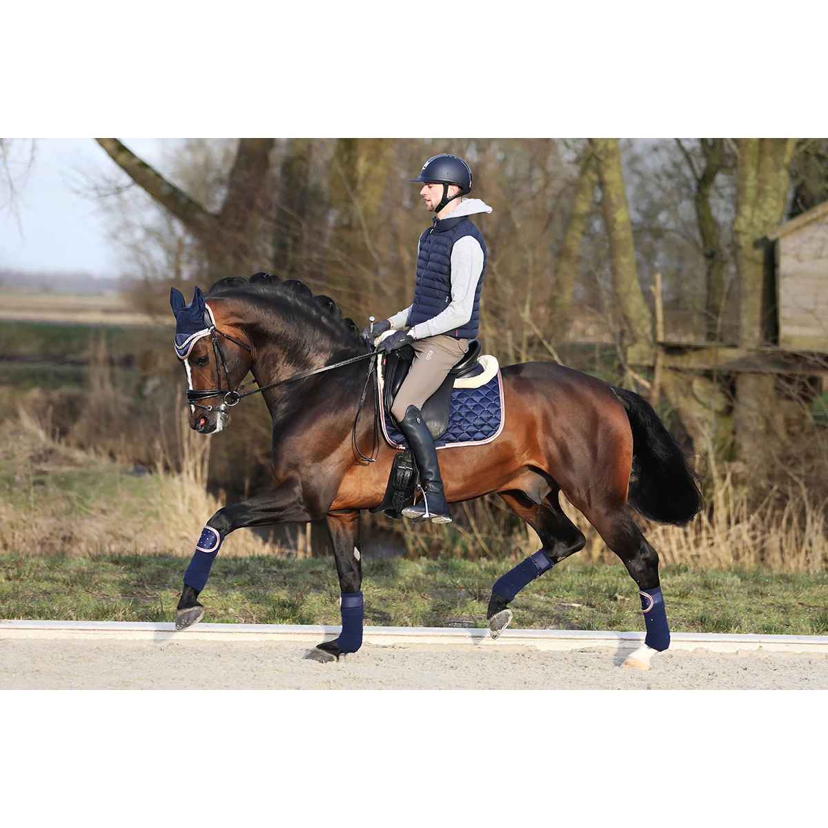 Oornetje Horsegear Aurum Donkerblauw - Afbeelding 6