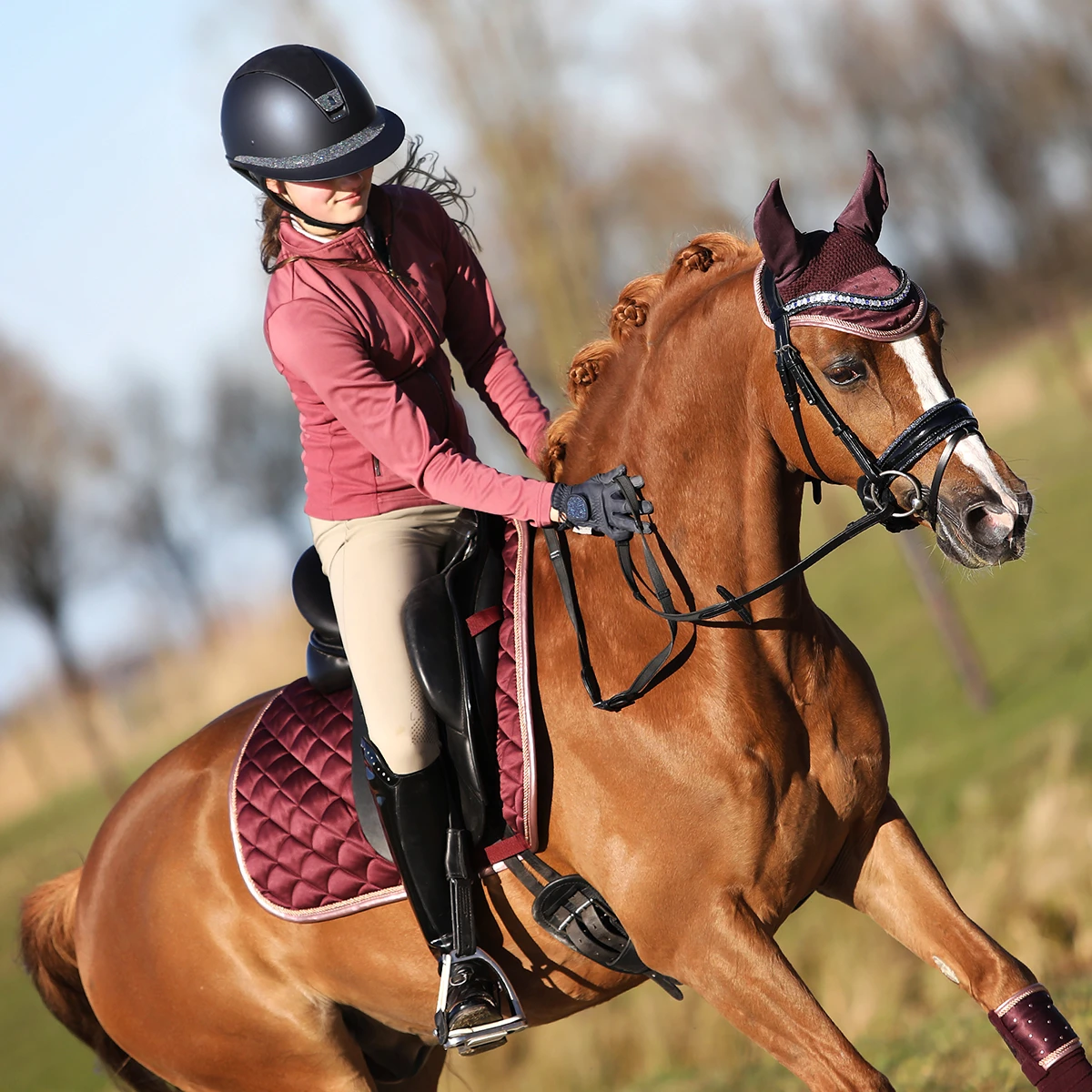 Oornetje Horsegear Aurum Donkerrood - Afbeelding 3