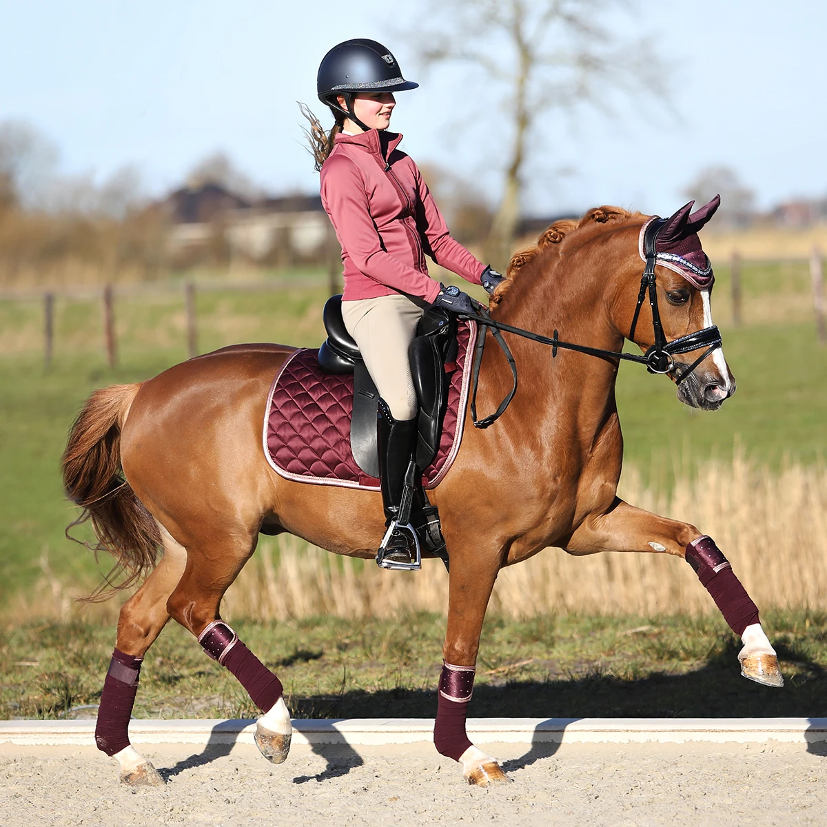 Oornetje Horsegear Aurum Donkerrood - Afbeelding 4