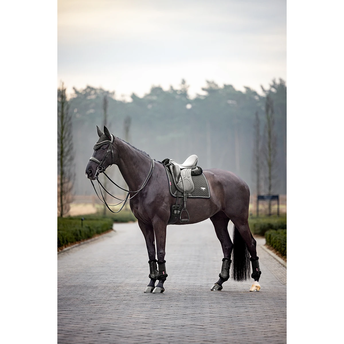 Oornetje LeMieux Puissance Zwart - Afbeelding 2