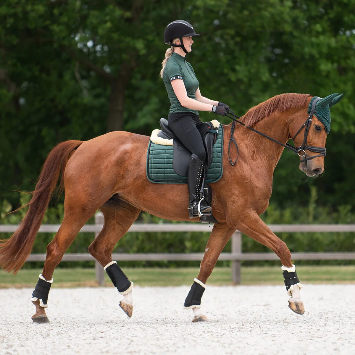 Oornetje QHP Astana Donkergroen - Afbeelding 3